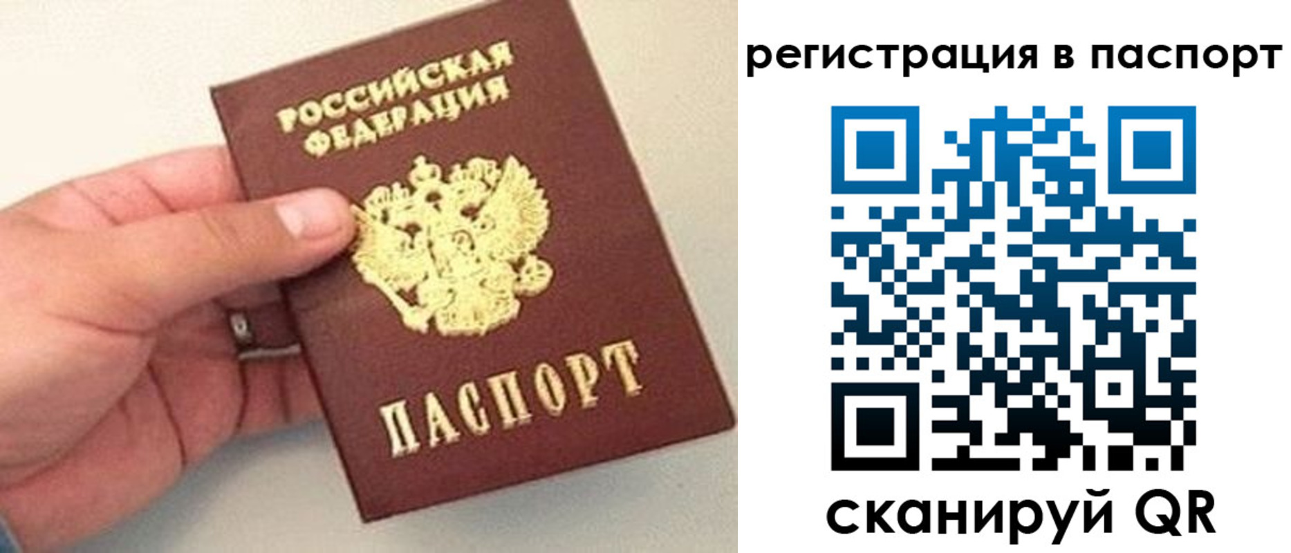 прописка законно в Чите